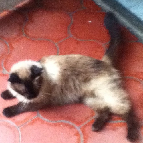 javiergrro's profile picture. 