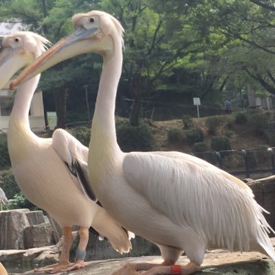 さややっぺです。宮崎奈穂子さんのファンです。ランニング好き、右膝が痛いです。夫、子ども達 2022.3月から保護猫マル🐈‍⬛♂と暮らしています。息子は少年野球⚾️