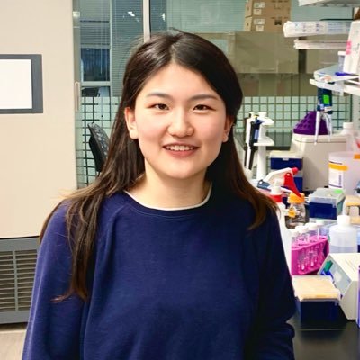 Qingwei Niu Profile