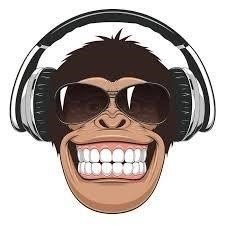 IWeb393536's profile picture. 