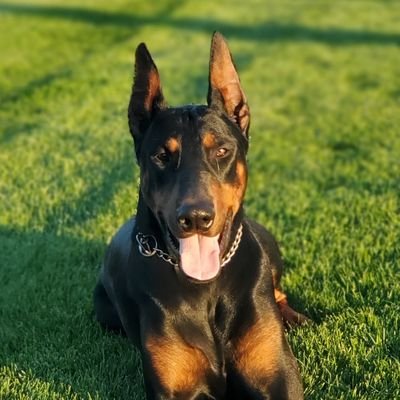 Cryp2024's profile picture. 