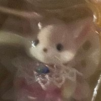 加藤 (@katoinsane) Twitter profile photo