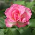 @JingShanga38478