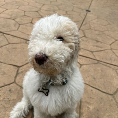 ShellyPete79633's profile picture. We lament lost opportunities and achievements, but forget to be thankful for what we have now