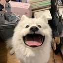 Li Yongjun - @LiYongjun9918 - Twitter