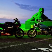 🐢きゃでぃ(おなす🔰 (@caddy_noir308) 's Twitter Profile