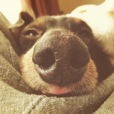 choco99364's profile picture. 