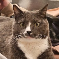 Ustinque (@ustinque) 's Twitter Profile Photo Ustinque (@ustinque) 's Twitter Profile Photo