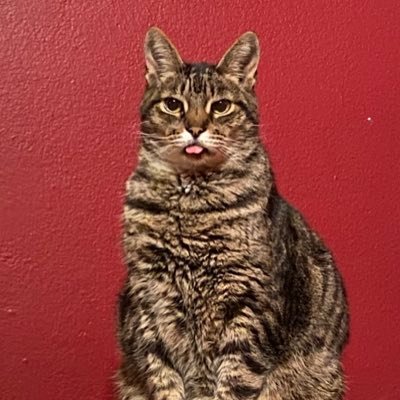 fukmorgan's profile picture. 22💓🤩