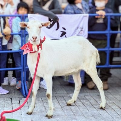 m_meeguu's profile picture. 