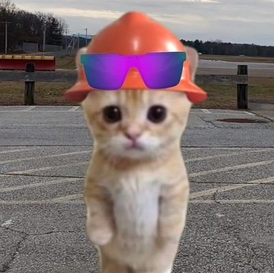 I say the word f**k alot

/// $OPUL ///

Cat Dad ///

small creatoor supportoor, here for fun most of the time ///

I DO NOT FUCKING MOG IM IN CONSTRUCTION