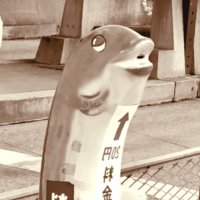 はる (@dojou_groovy) 's Twitter Profile Photo はる (@dojou_groovy) 's Twitter Profile Photo