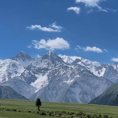 Deep_thought042's profile picture. 酒色竟令我如此憔悴，从今日起，戒酒！