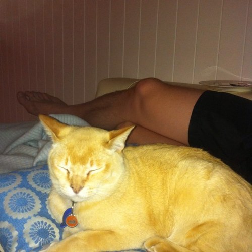 gregstirling84's profile picture. 