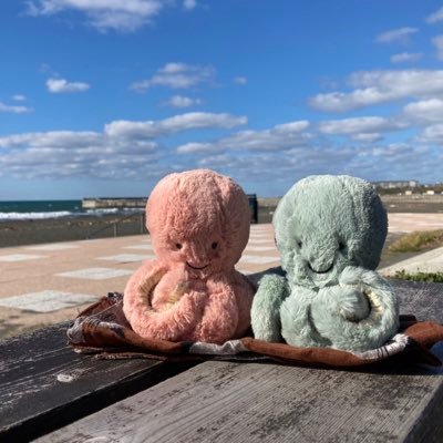 Sirochaa1's profile picture. 🧶 🥌……🏉