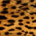 mariana (@mariana_safari) Twitter profile photo mariana (@mariana_safari) Twitter profile photo