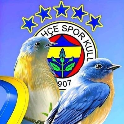 Fenerbahçeli