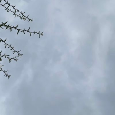 Oversharingul's profile picture. the question queen of loas 😌