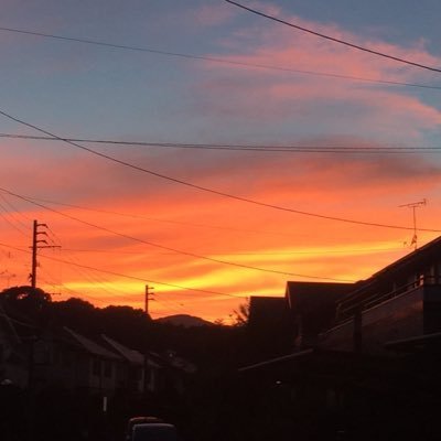 DoushibaC59674's profile picture. 悲しいかな