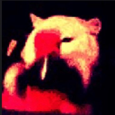 skyward__'s profile picture. | erm | osu, mcsr, ksp, balatro | he/him | australian | i like spaceflight | trans rights!!! 🏳️‍⚧️ |