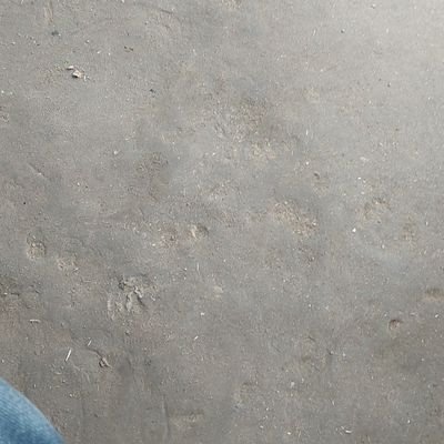 manishs68314681's profile picture. 