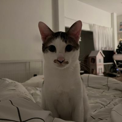 ttguntt's profile picture. -multifandom- (2004)