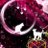 catbaby_ambt