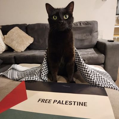 kellyliz73's profile picture. A mere mortal trying to survive without being swallowed by people pretending, or not, to have humanity 😳😬🤒
A believer in the power of knowledge and truth