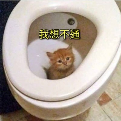 私信只回🚪哦 ，聊天（无图版🚪66