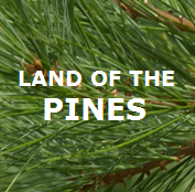 lotpblog's profile picture. Music blog covering North Carolina artists. | 
landofthepinesblog@gmail.com