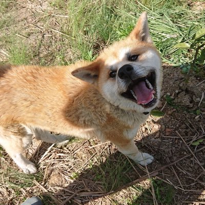 makn3310's profile picture. 釣り、サバイバル、バイク、旅行多趣味ですよろしくお願いします。