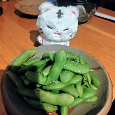 K-POP・舞台・推し活中
SEVENTEEN🐯🍚／TXT🦊／kep1er🐥🦊／岡宮来夢