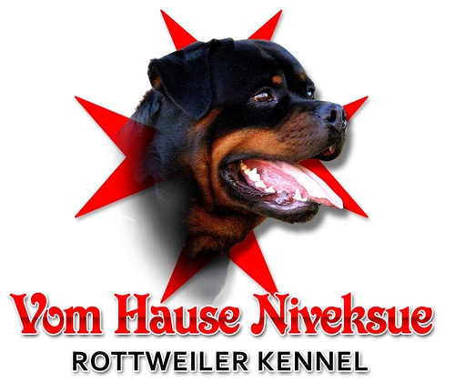 niveksue's profile picture. Niveksue Rottweiler Kennel was established in the year 2000 and now is a member of the ADRK rottweiler klub and the F.C.I federation.Our aim is to breed top dog