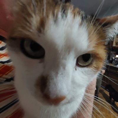 mimiさんのプロフィール画像