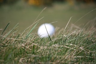 iwik12347's profile picture. Works at RNLI , enjoying the simple life.e