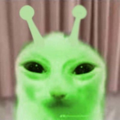 진심을 담아