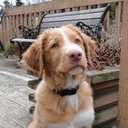 Andréa Samson-Boudreau - @BoudreauAn19097 - Twitter