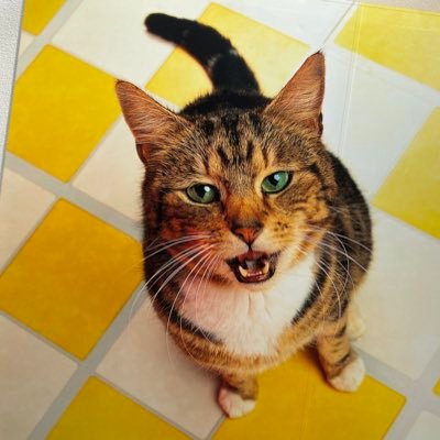 オスナ敏郎さんのプロフィール画像