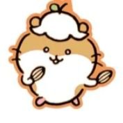 햄찌 눈팅 위시