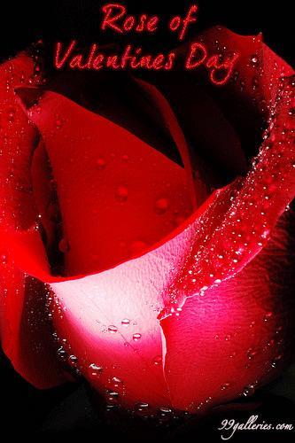 Puva85's profile picture. 