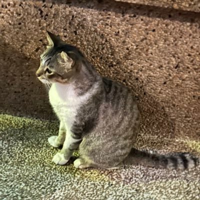 Jayway50063422's profile picture. 