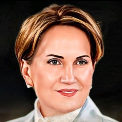 Meral Akşener gönüllüsü / Beyoğlu ilçe Delegesi / Türk Milliyetçisi/ Mühendis