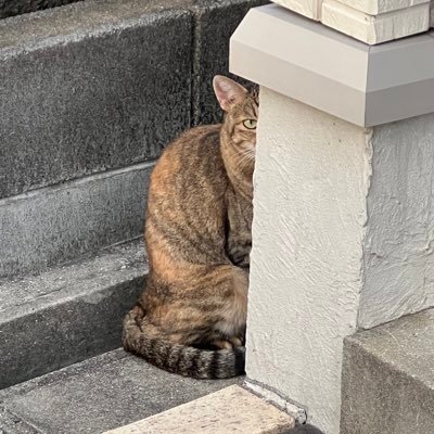 シンさんのプロフィール画像