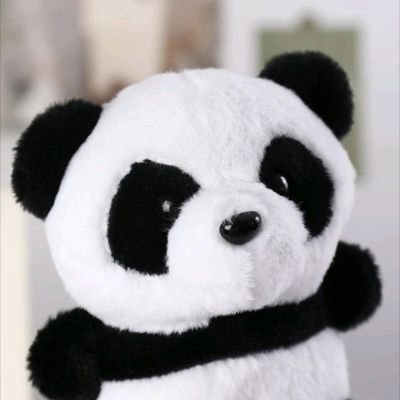 miyu83049682's profile picture. 