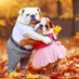 bulldog lovers club (@bulldog_lovers9) Twitter profile photo bulldog lovers club (@bulldog_lovers9) Twitter profile photo