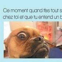 RonaldMCfl87704's profile picture. 