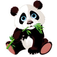 🐼 ᑭᗩᑎᗪᗩ ᑭᖇOᗰO 🐼 (@rspettacolari2) 's Twitter Profile