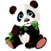 🐼 ᑭᗩᑎᗪᗩ ᑭᖇOᗰO 🐼(@rspettacolari2) 's Twitter Profile Photo