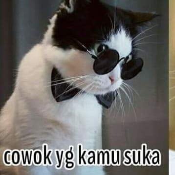 KeratorS63822's profile picture. khusus alat elektronik dapatkan voucher belanja 50ribu di shopee video