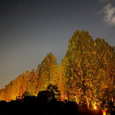 rpcFYppIYvmNOg9's profile picture. 